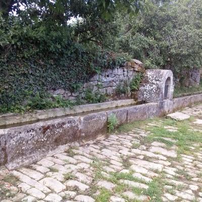 Fuente Y Pilas