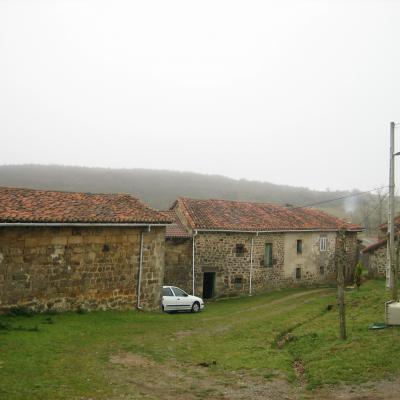 Zona Angel Angela